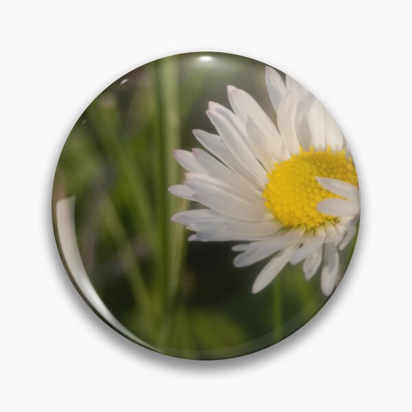 Item preview, Daisy designed and sold by Calidris Fotografie Steffi & Ben Köppler.