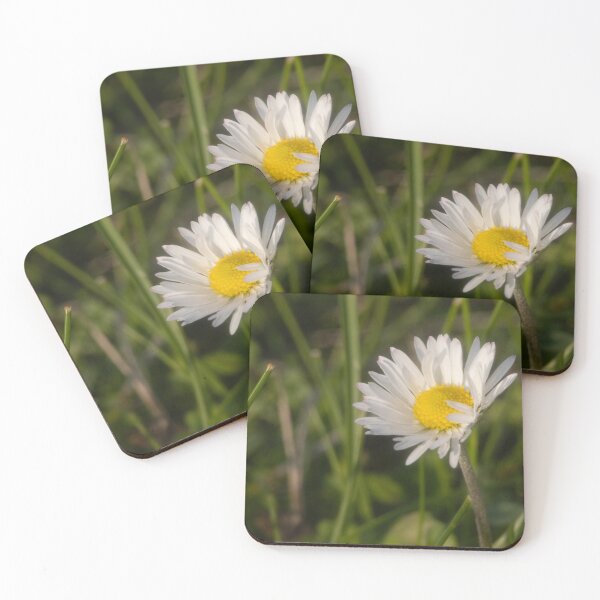 Item preview, Daisy designed and sold by Calidris Fotografie Steffi & Ben Köppler.