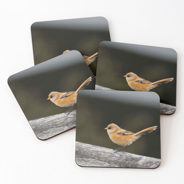 Item preview, Bearded Tit (Female) designed and sold by MTPhotos1406.