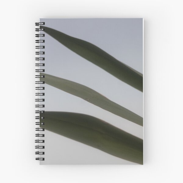 Item preview, Common Reed designed and sold by Calidris Fotografie Steffi & Ben Köppler.