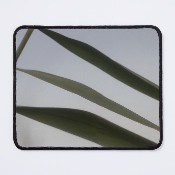 Item preview, Common Reed designed and sold by Calidris Fotografie Steffi & Ben Köppler.