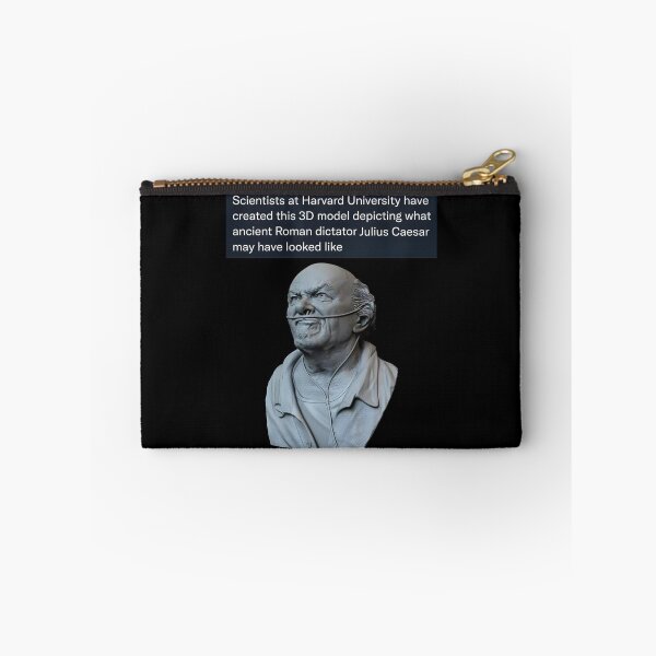 Item preview, Julius Caesar 3D Model - Thanksgiving, Christmas And Birthday Party Gift Ideas for Classic Memes Lovers and Fans designed and sold by Memeing Everything.