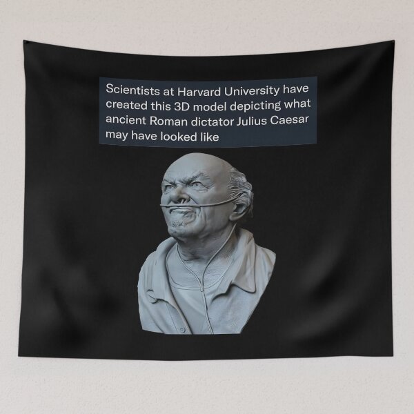Item preview, Julius Caesar 3D Model - Thanksgiving, Christmas And Birthday Party Gift Ideas for Classic Memes Lovers and Fans designed and sold by Memeing Everything.