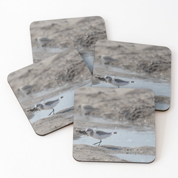 Item preview, Sanderling designed and sold by Calidris Fotografie Steffi & Ben Köppler.