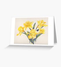 Daffodil Greeting Card