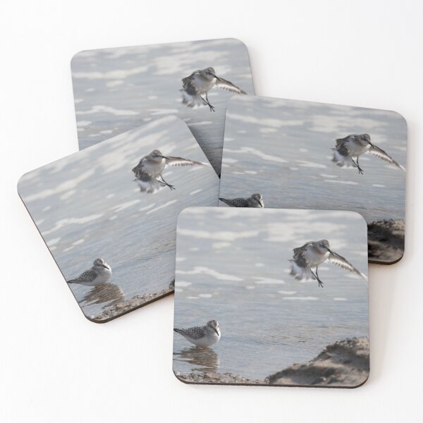 Item preview, Sanderlings designed and sold by Calidris Fotografie Steffi & Ben Köppler.