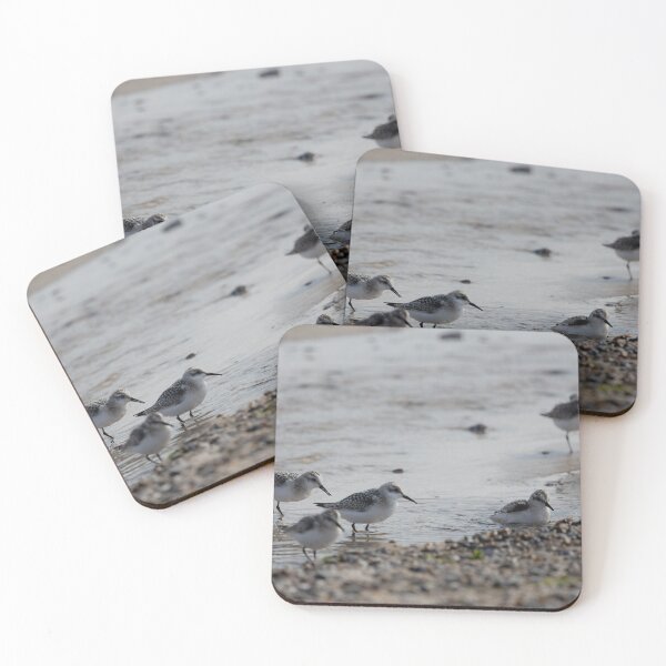 Item preview, Sanderlings designed and sold by Calidris Fotografie Steffi & Ben Köppler.