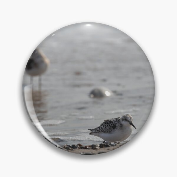 Item preview, Sanderlings designed and sold by Calidris Fotografie Steffi & Ben Köppler.