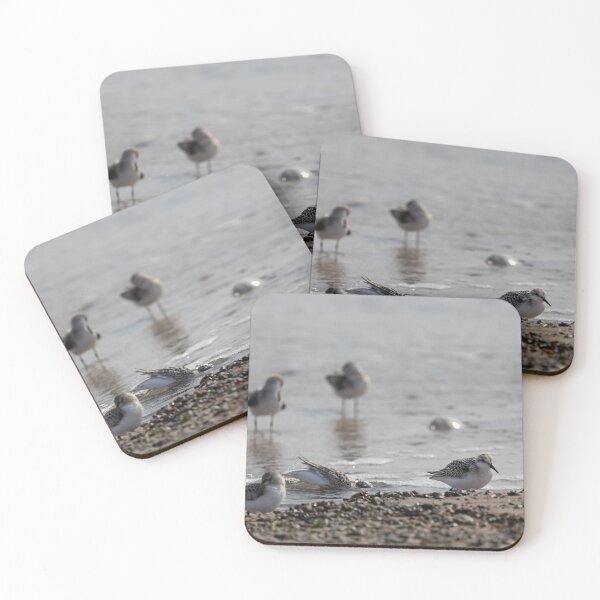 Item preview, Sanderlings designed and sold by Calidris Fotografie Steffi & Ben Köppler.