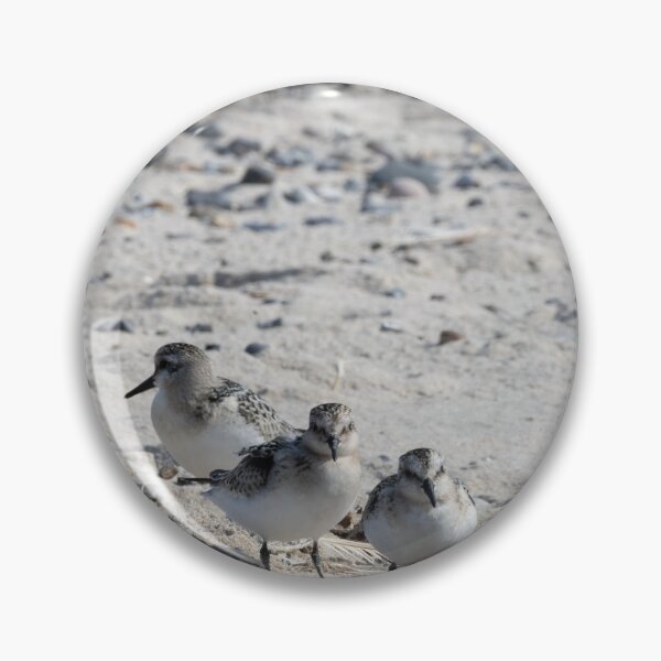 Item preview, Sanderling designed and sold by Calidris Fotografie Steffi & Ben Köppler.