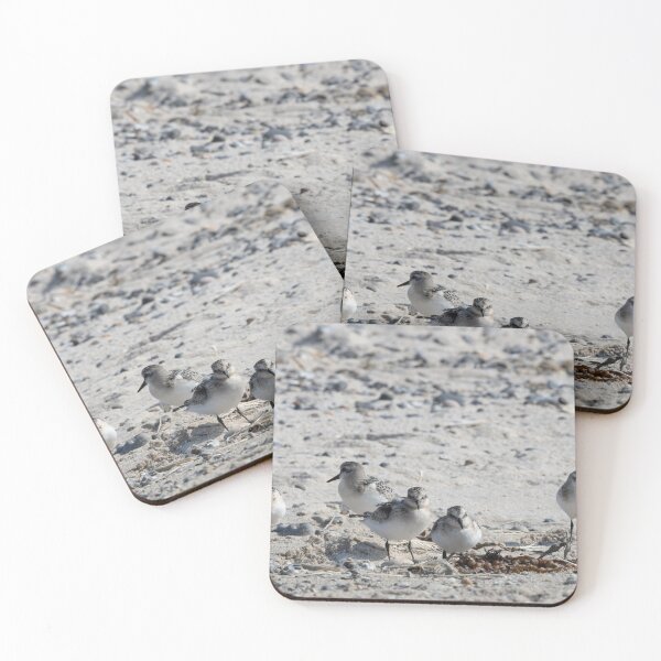 Item preview, Sanderling designed and sold by Calidris Fotografie Steffi & Ben Köppler.