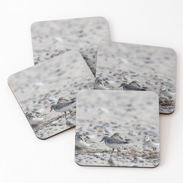 Item preview, Sanderlings designed and sold by Calidris Fotografie Steffi & Ben Köppler.