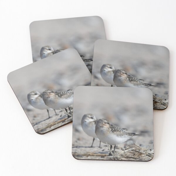 Item preview, Sanderlings designed and sold by Calidris Fotografie Steffi & Ben Köppler.