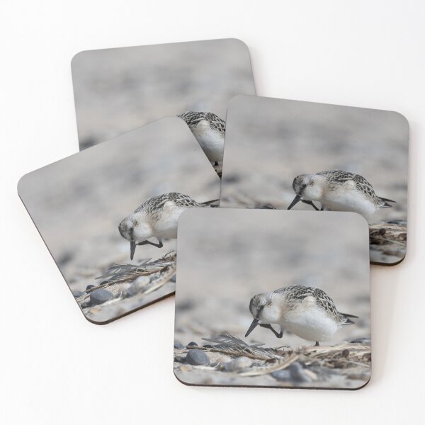 Item preview, Sanderling designed and sold by Calidris Fotografie Steffi & Ben Köppler.