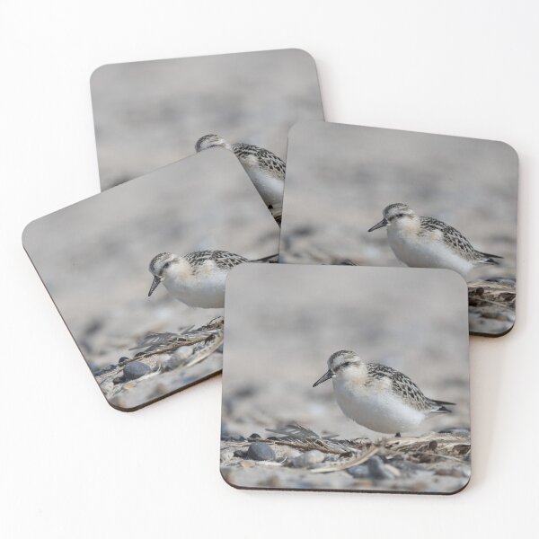 Item preview, Sanderling designed and sold by Calidris Fotografie Steffi & Ben Köppler.