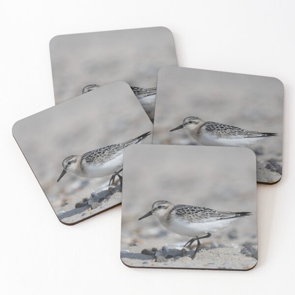 Item preview, Sanderling designed and sold by Calidris Fotografie Steffi & Ben Köppler.