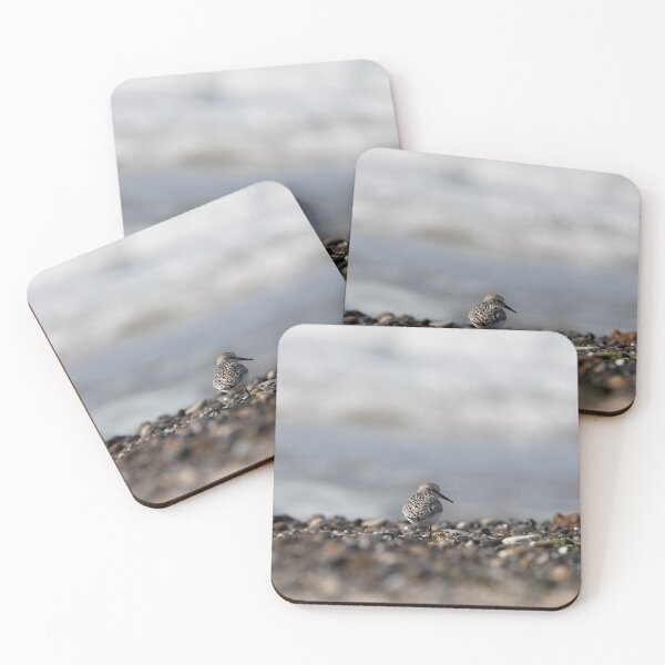 Item preview, Sanderling designed and sold by Calidris Fotografie Steffi & Ben Köppler.