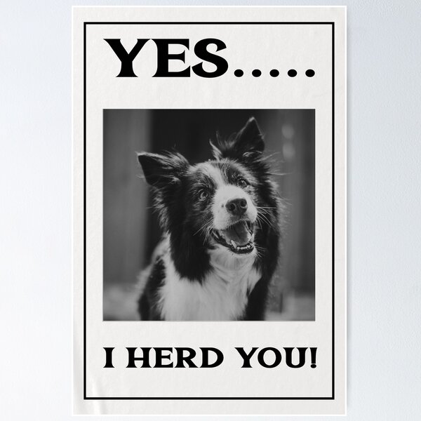Item preview, Yes I Herd You! Funny Sheepdog Design designed and sold by gentdesigns.