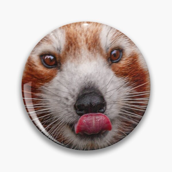 Item preview, Rude Red Panda designed and sold by Dalyndigital Photography.