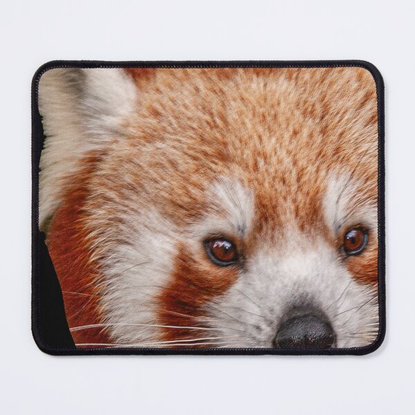 Item preview, Rude Red Panda designed and sold by Dalyndigital Photography.