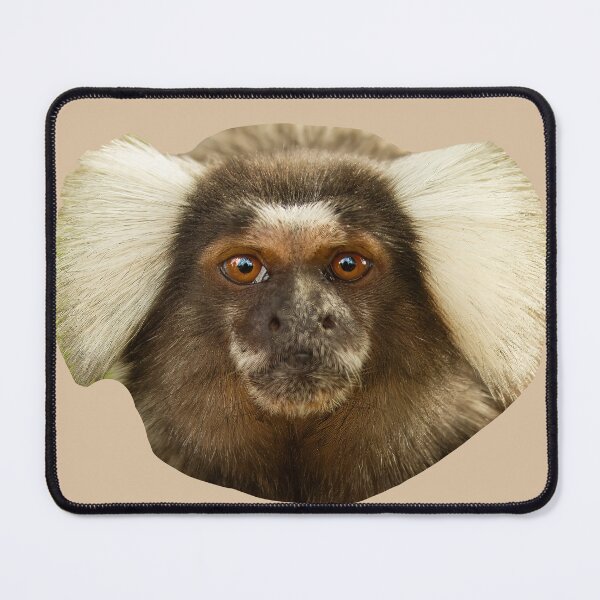 Item preview, Close up of cute face of a Marmoset designed and sold by Dalyndigital Photography.