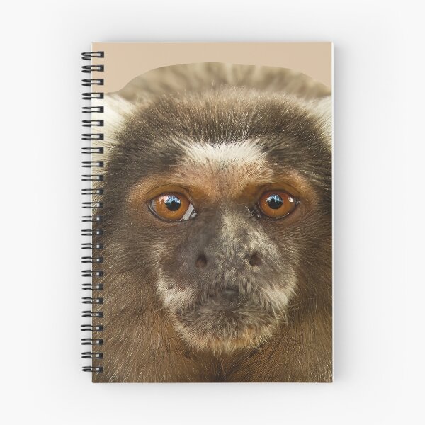 Item preview, Close up of cute face of a Marmoset designed and sold by Dalyndigital Photography.
