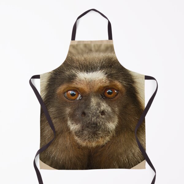 Item preview, Close up of cute face of a Marmoset designed and sold by Dalyndigital Photography.