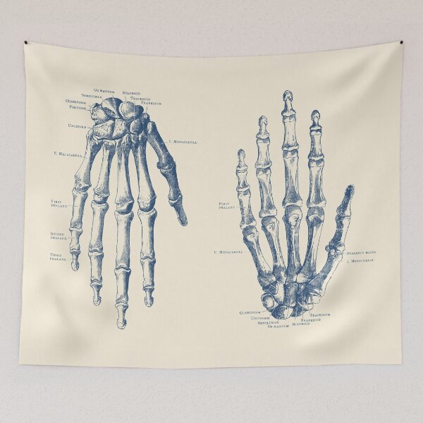 Item preview, Double Hand Skeletal Diagram designed and sold by VAposters.