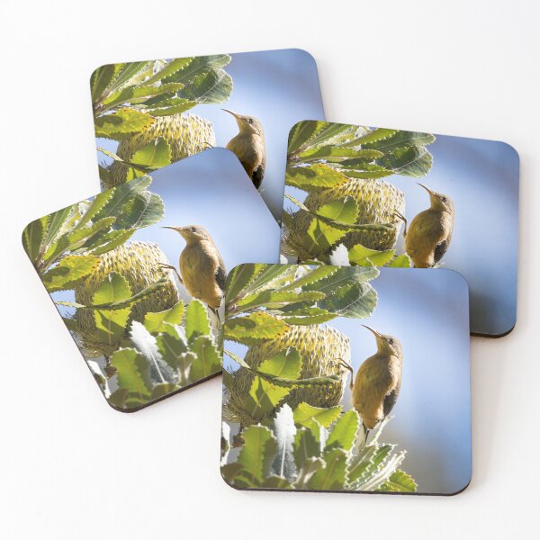 Item preview, Eastern spinebill bird Australia designed and sold by Tara Smithson.