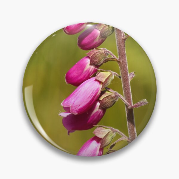 Item preview, Pink Flowers in Donegal designed and sold by eddiebarronshop.