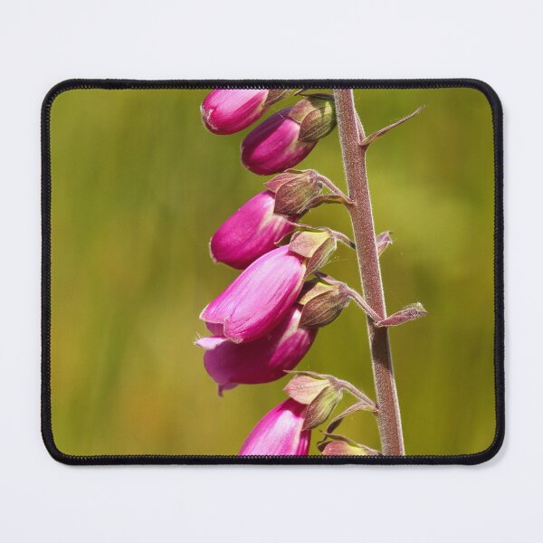 Item preview, Pink Flowers in Donegal designed and sold by eddiebarronshop.