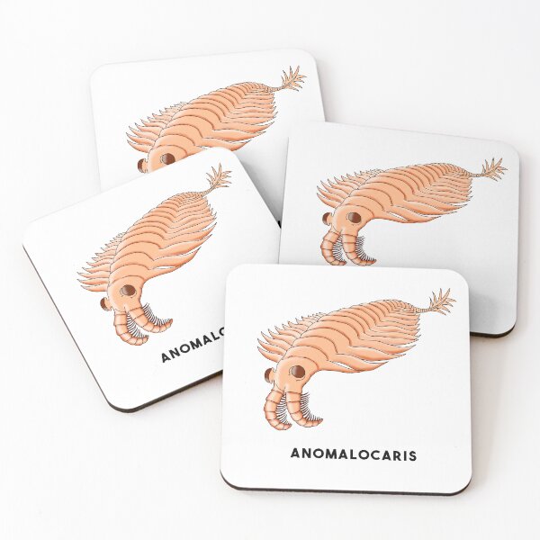 Item preview, Anomalocaris designed and sold by lucamendieta.