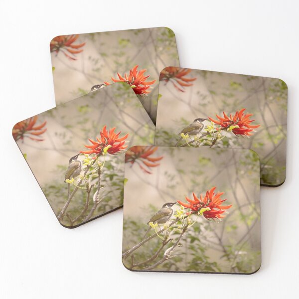 Item preview, vintage style Lewin's honey eater  designed and sold by Tara Smithson.