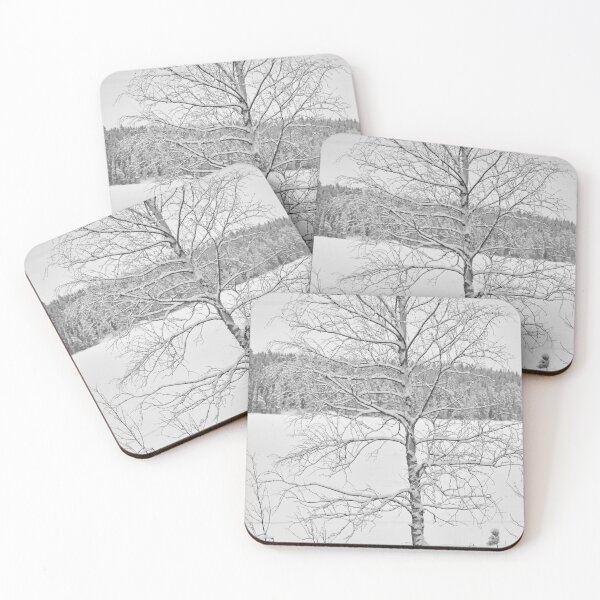 Item preview, Birch by the lake. Parkkuu Landscapes 2023 black and white designed and sold by Jouko Lehto Photography.