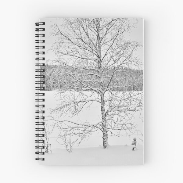 Artikelvorschau, Birke am See. Parkkuu Landscapes 2023 schwarz und weiß entworfen und verkauft von Jouko Lehto Photography.