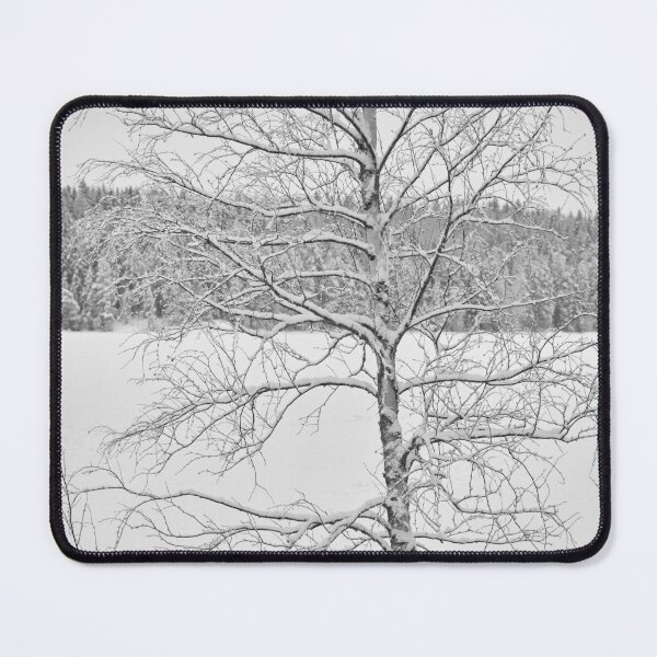 Item preview, Birch by the lake. Parkkuu Landscapes 2023 black and white designed and sold by Jouko Lehto Photography.