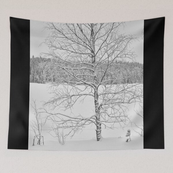 Item preview, Birch by the lake. Parkkuu Landscapes 2023 black and white designed and sold by Jouko Lehto Photography.