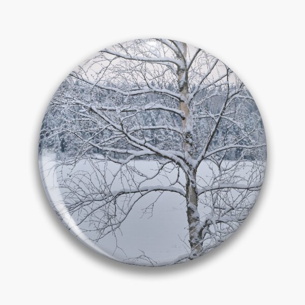 Item preview, Birch by the lake. Parkkuu winter 2023 minimal color designed and sold by Jouko Lehto Photography.