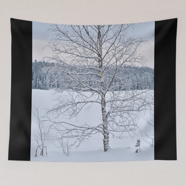 Artikelvorschau, Birke am See. Parkkuu Winter 2023 minimale Farbe entworfen und verkauft von Jouko Lehto Photography.