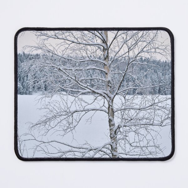 Item preview, Birch by the lake. Parkkuu winter 2023 minimal color designed and sold by Jouko Lehto Photography.