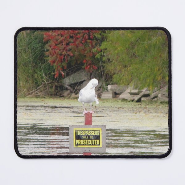 Item preview, The Bird And The Sign designed and sold by ArtOfE.