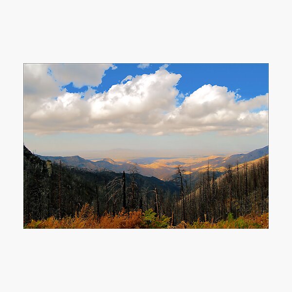 On Top of Arizona Photographic Print