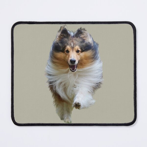 Item preview, happy running Sheltie, sweet happy dog designed and sold by shamrock-illus.