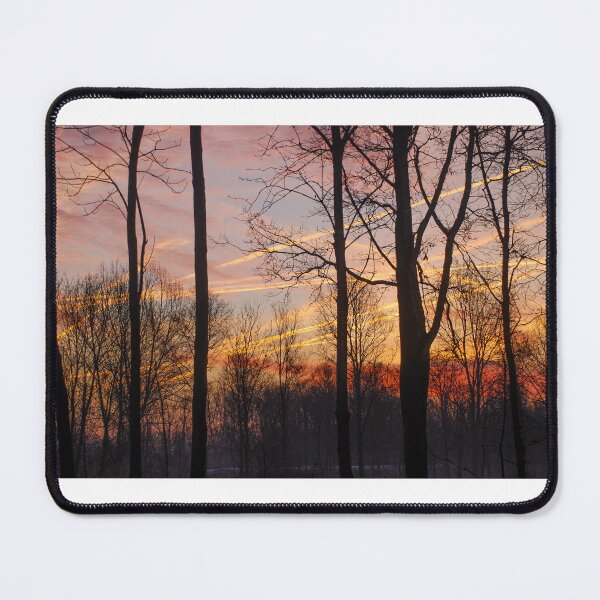Item preview, Avian Trails and Sunrise Veils: Woods in Radiant Hues designed and sold by InbalTurShalom.