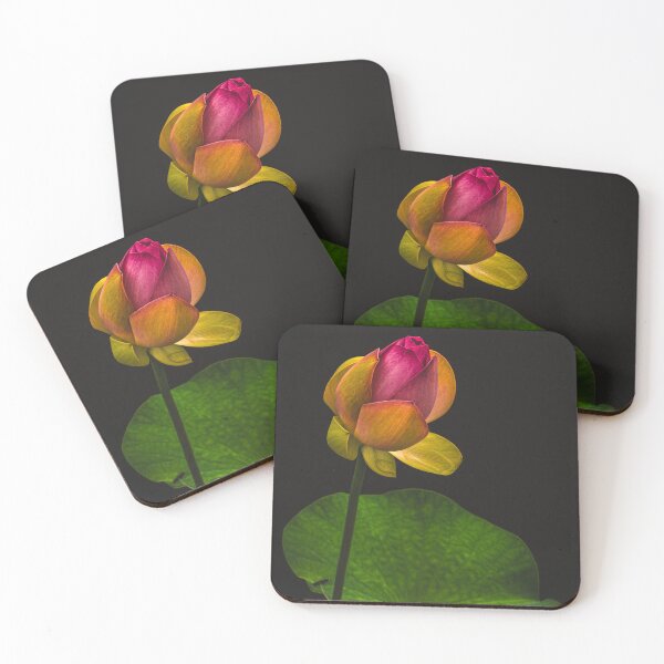 Item preview, Lotus at night designed and sold by Floraphernalia.