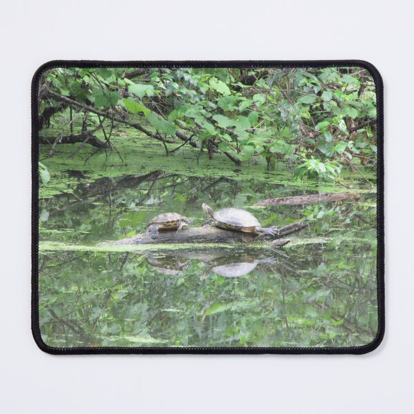 Item preview, Turtles designed and sold by ArtOfE.