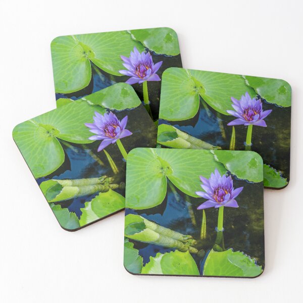Item preview, Lilly Pad designed and sold by barkeypf.