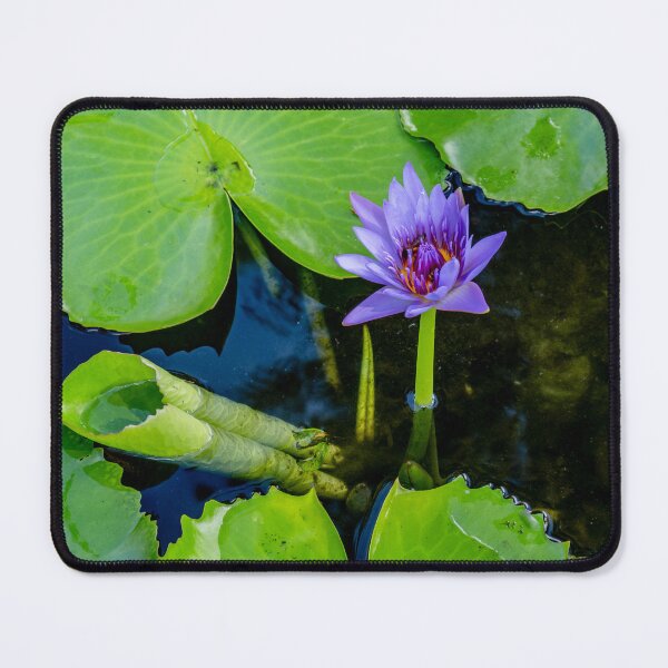 Item preview, Lilly Pad designed and sold by barkeypf.