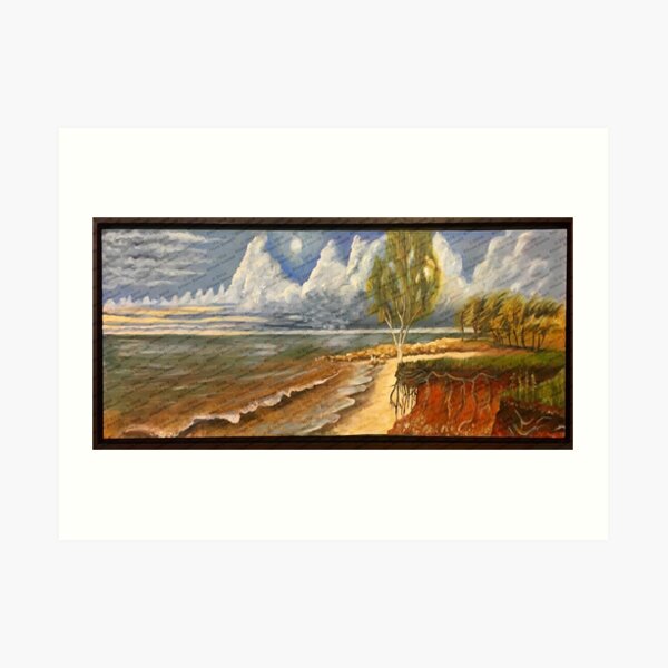 Nightcliff Tree Art Print