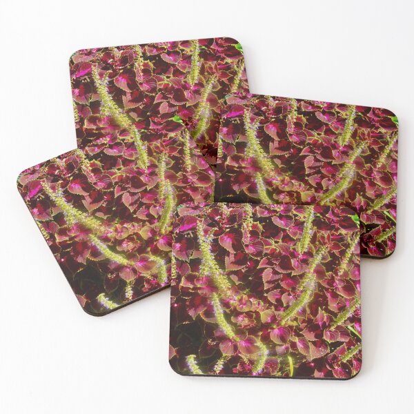 Item preview, Coleus designed and sold by Shulie1.